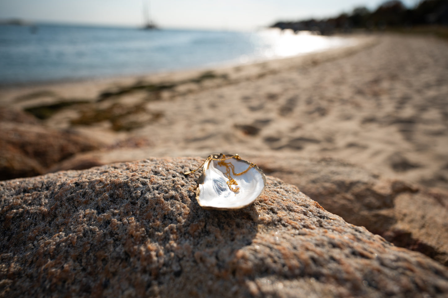 Oyster Shell Jewelry Dish