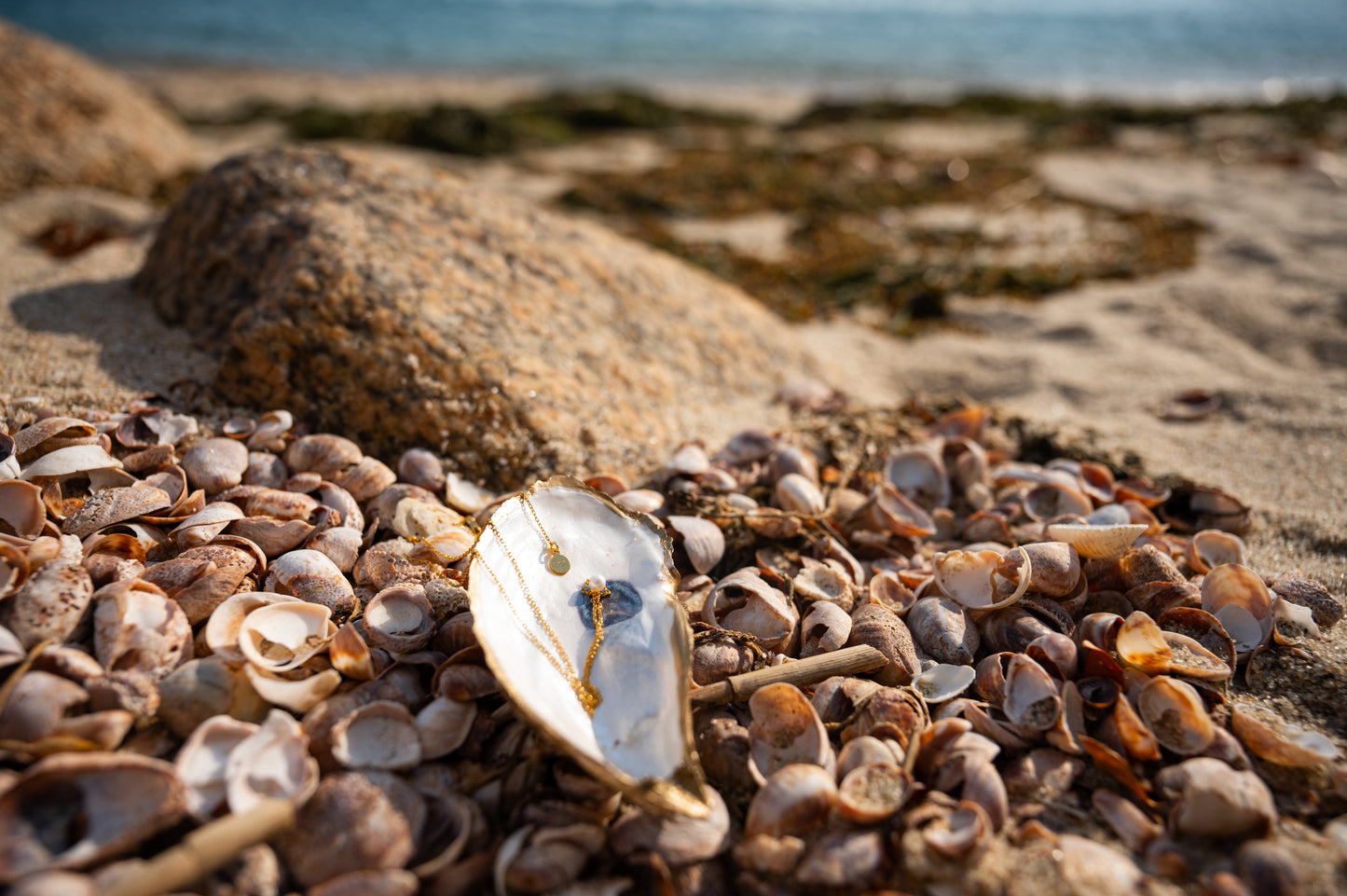Oyster Shell Jewelry Dish
