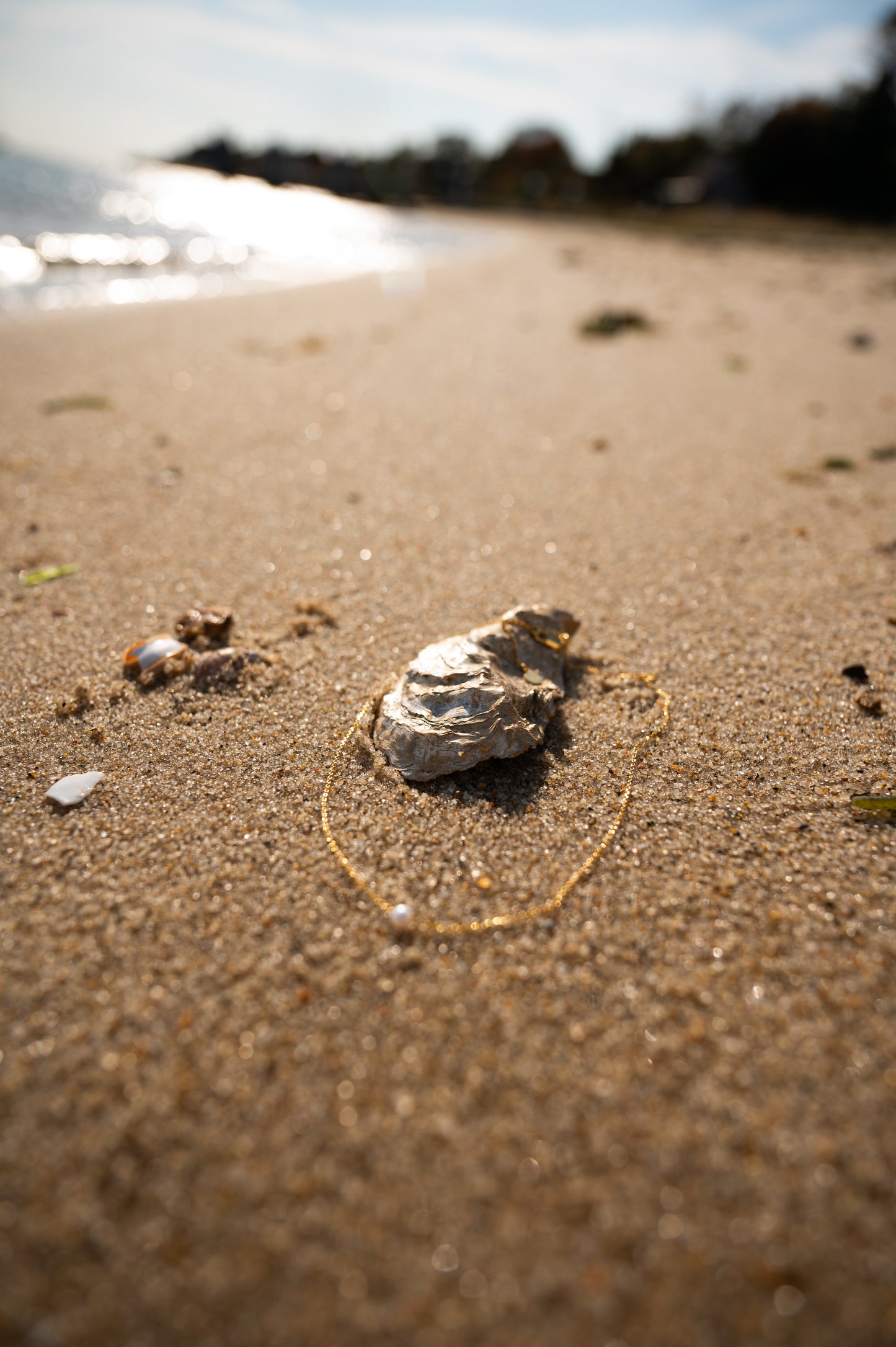 Oyster Shell Jewelry Dish