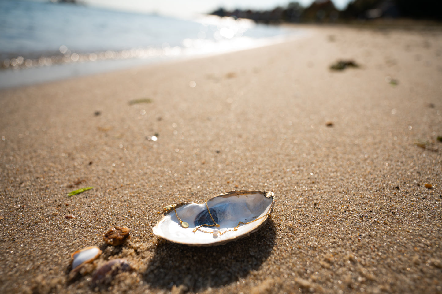 Oyster Shell Jewelry Dish